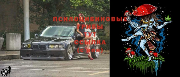 метадон Касимов