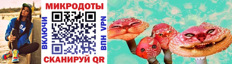 Купить где  Валдай  Галлюциногенные грибы Psilocybine cubensis 